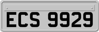ECS9929