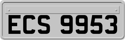 ECS9953