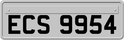 ECS9954
