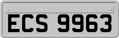 ECS9963