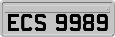 ECS9989