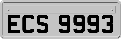 ECS9993
