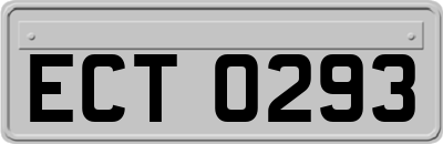ECT0293