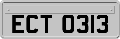 ECT0313