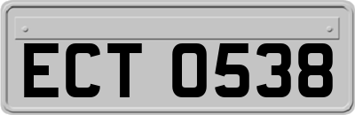 ECT0538