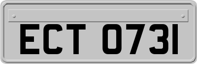 ECT0731
