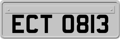 ECT0813