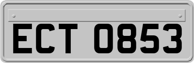 ECT0853