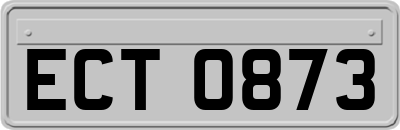 ECT0873