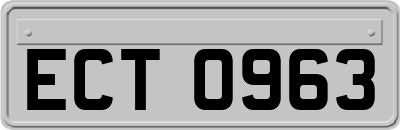 ECT0963
