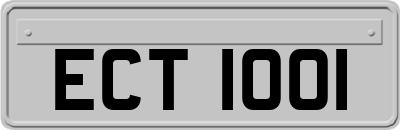 ECT1001