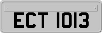 ECT1013