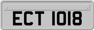 ECT1018