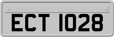 ECT1028