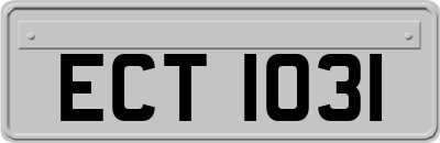 ECT1031