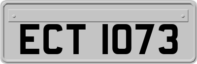 ECT1073