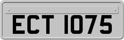 ECT1075