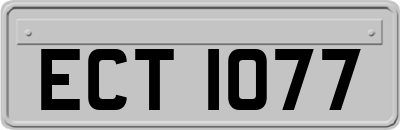 ECT1077