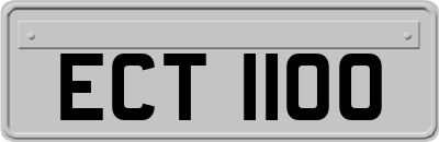 ECT1100