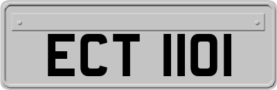 ECT1101