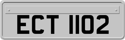 ECT1102