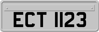 ECT1123