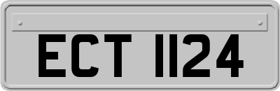 ECT1124