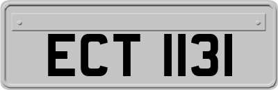 ECT1131