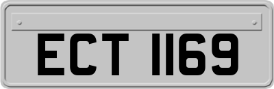 ECT1169