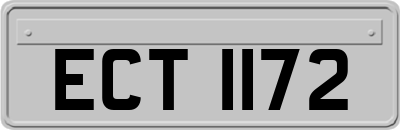 ECT1172