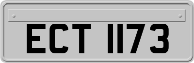 ECT1173