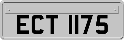 ECT1175