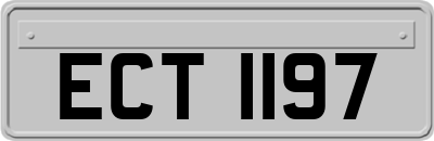 ECT1197
