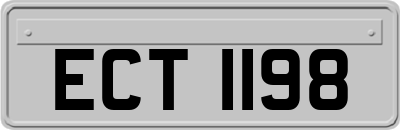 ECT1198