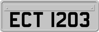 ECT1203