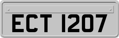 ECT1207
