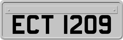 ECT1209