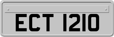 ECT1210