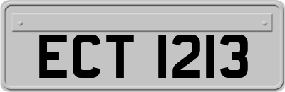 ECT1213