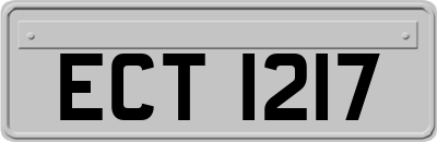 ECT1217