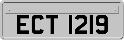 ECT1219