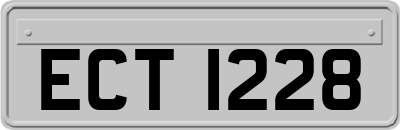 ECT1228