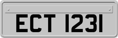 ECT1231