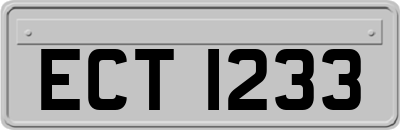 ECT1233