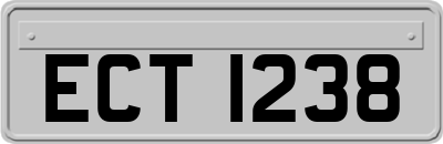 ECT1238