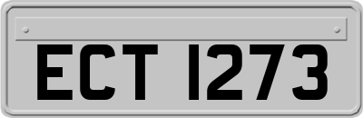 ECT1273