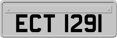 ECT1291