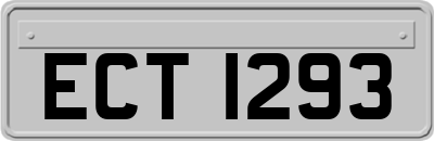 ECT1293