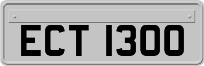 ECT1300