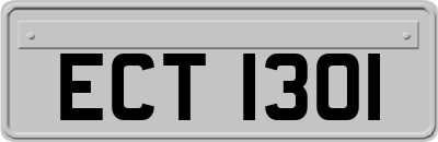 ECT1301